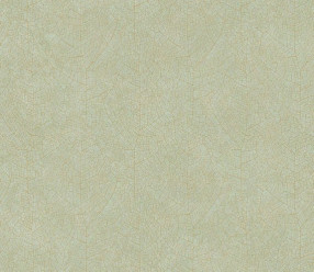 Обои Casadeco Woods WOOD26217010